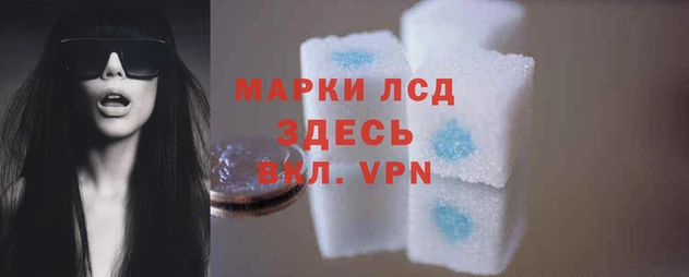 героин Богданович