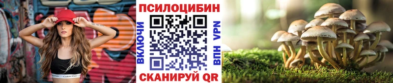 как найти   darknet телеграм  Галлюциногенные грибы MAGIC MUSHROOMS  Шадринск 